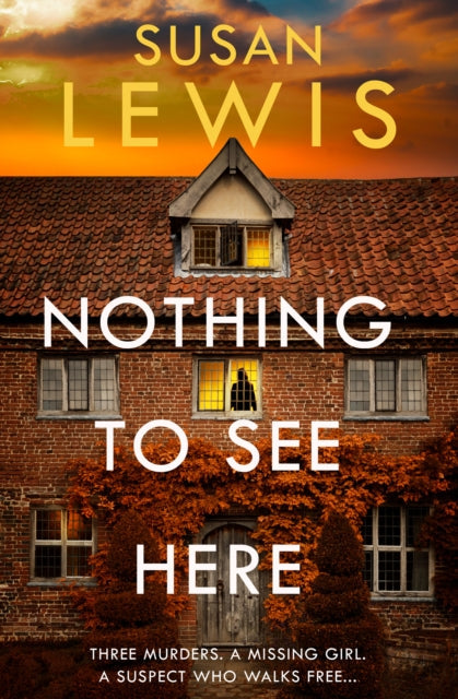 Nothing to See Here by Susan Lewis - Hardcover