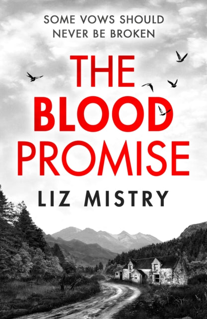 The Blood Promise by Liz Mistry - Paperback