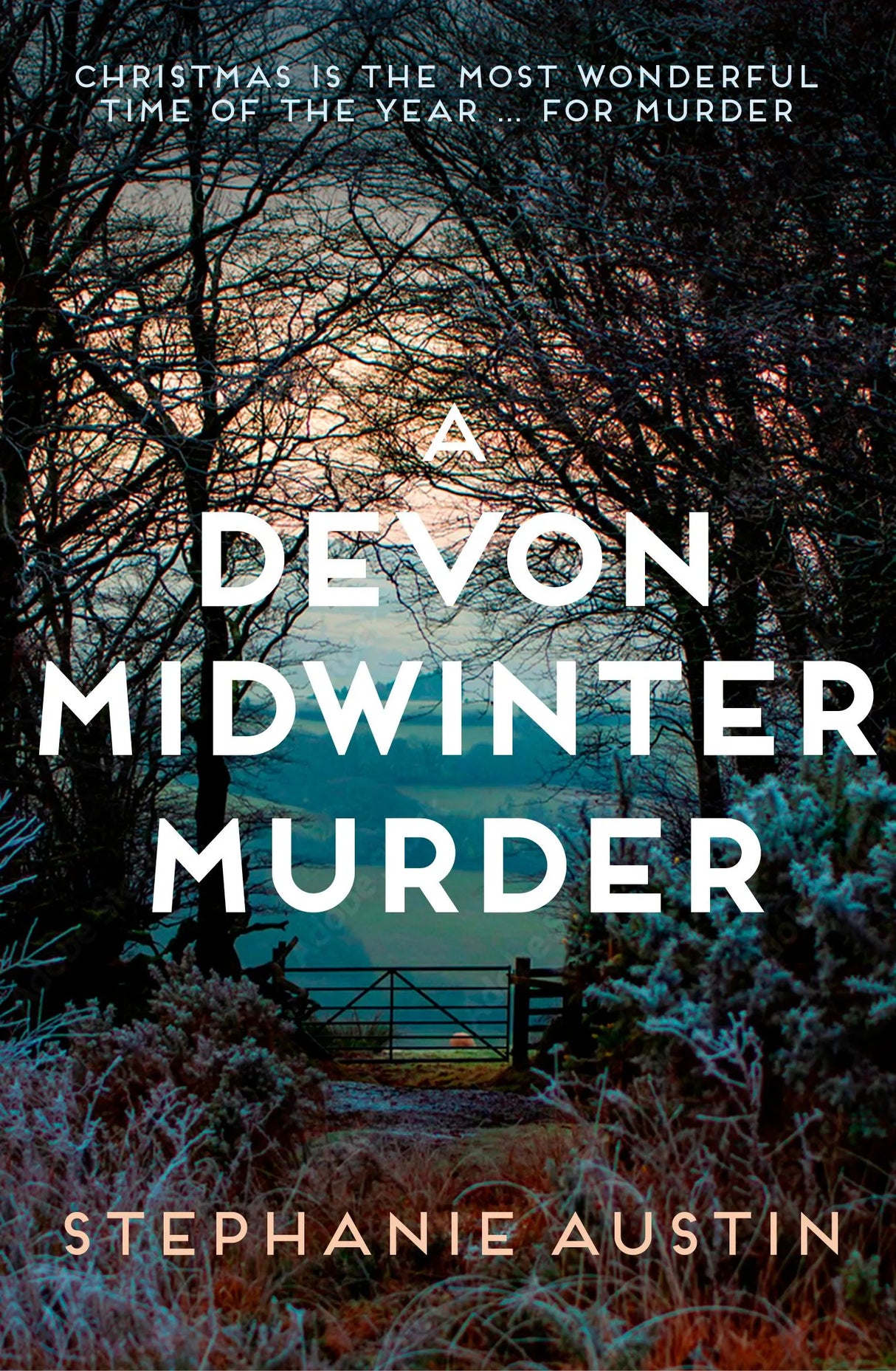 A Devon Midwinter Murder