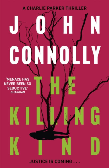 The Killing Kind  by John Connolly - Paperback