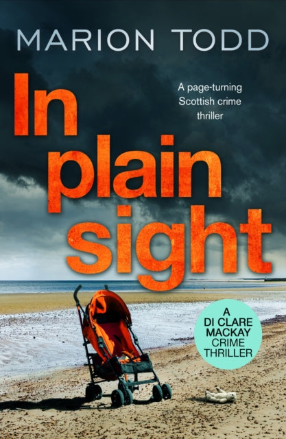 In Plain Sight by Marion Todd - Paperback