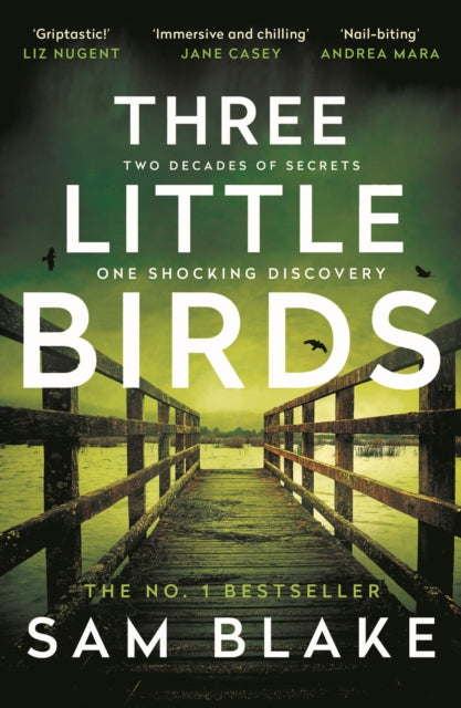 Three Little Birds by Sam Blake - Paperback